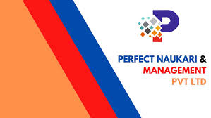 Perfect Naukri Managment Services